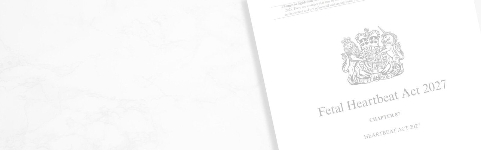 Graphic representing the Fetal Heartbeat Act campaign by CBR UK showing a heartbeat line symbolising life protection for unborn babies